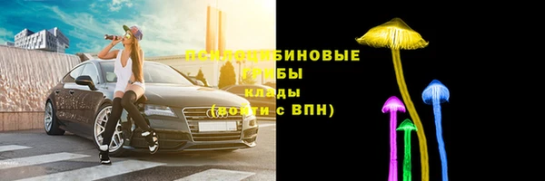 стафф Володарск