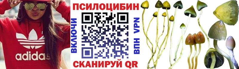 Псилоцибиновые грибы Magic Shrooms  Купить  Верхотурье 